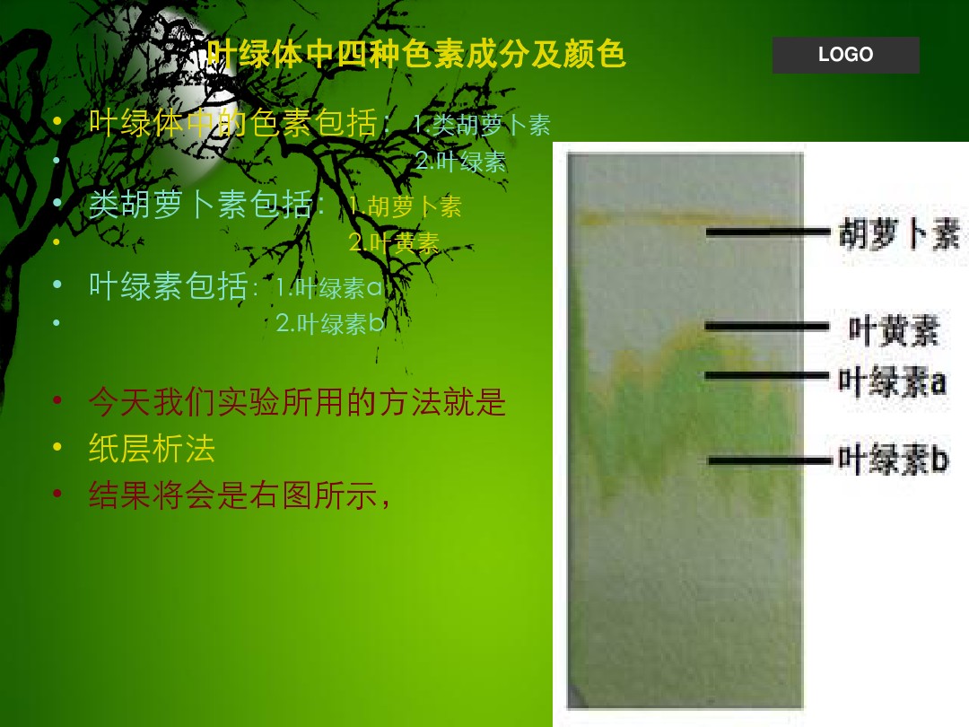 叶绿素的提取和分离 图文 百度文库