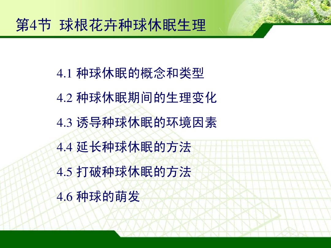球根花卉种球休眠生理 图文 百度文库