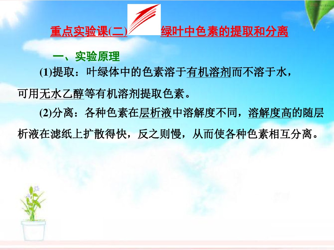 实验课 二 绿叶中色素的提取和分离课件 图文 百度文库