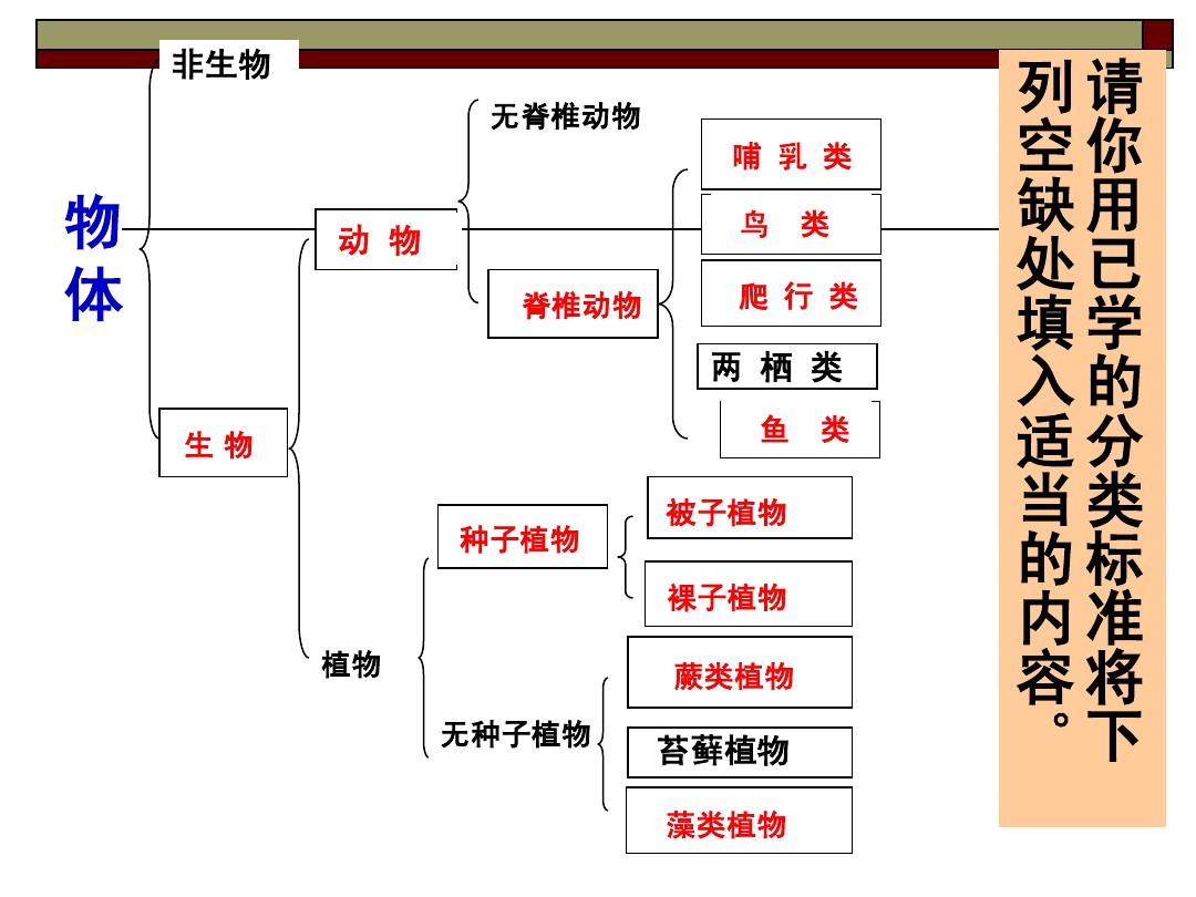 浙教版新版观察生物4 6节复习课 图文 百度文库