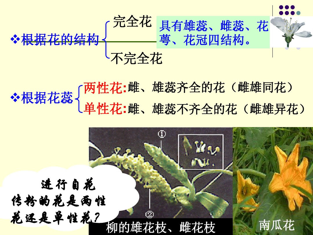 植物生殖方式的多样性1 图文 百度文库