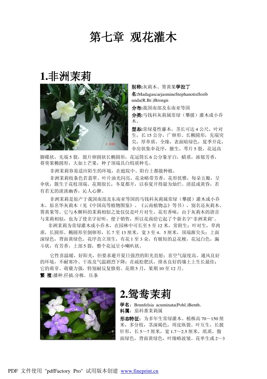 南方常见植物 观花灌木 图文 百度文库