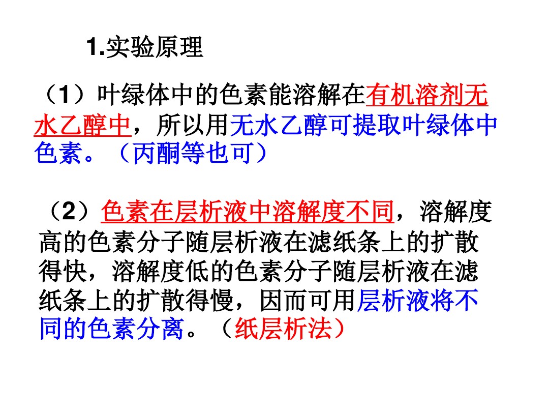 5 4 1色素的提取和分离 图文 百度文库